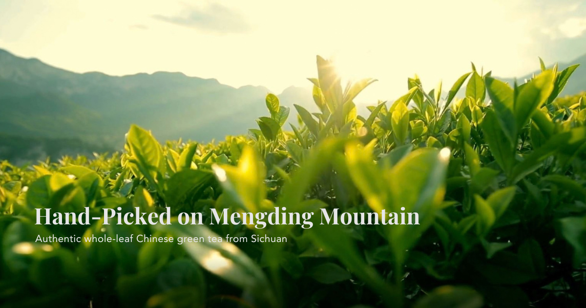 Mengding Ganlu Green Tea – China's Finest Tea | SavvyTea.co.uk
